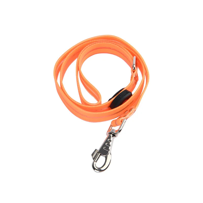 Leuchtendes Hundehalsband mit Leine – Wiederaufladbares Blinkendes Halsband mit Verstellbarer Passform für Spaziergänge