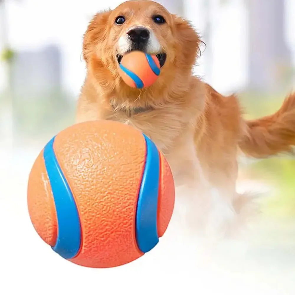 Robuster Elastischer Hundeball – Kau- & Apportierspielzeug mit Sprungfunktion