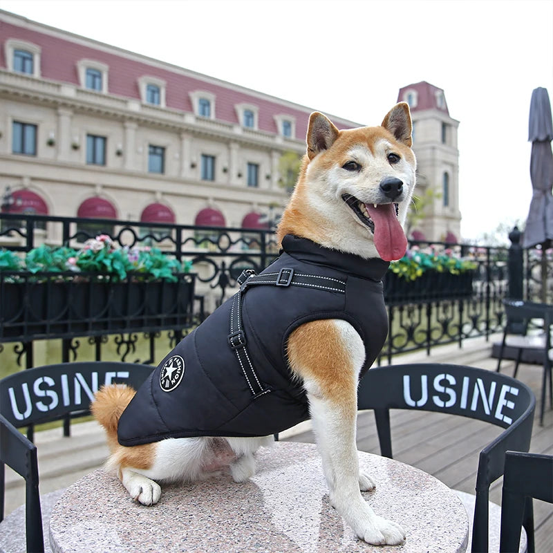 Wasserdichte Warme Hundejacke mit Geschirr – Winterweste für Kleine & Große Hunde