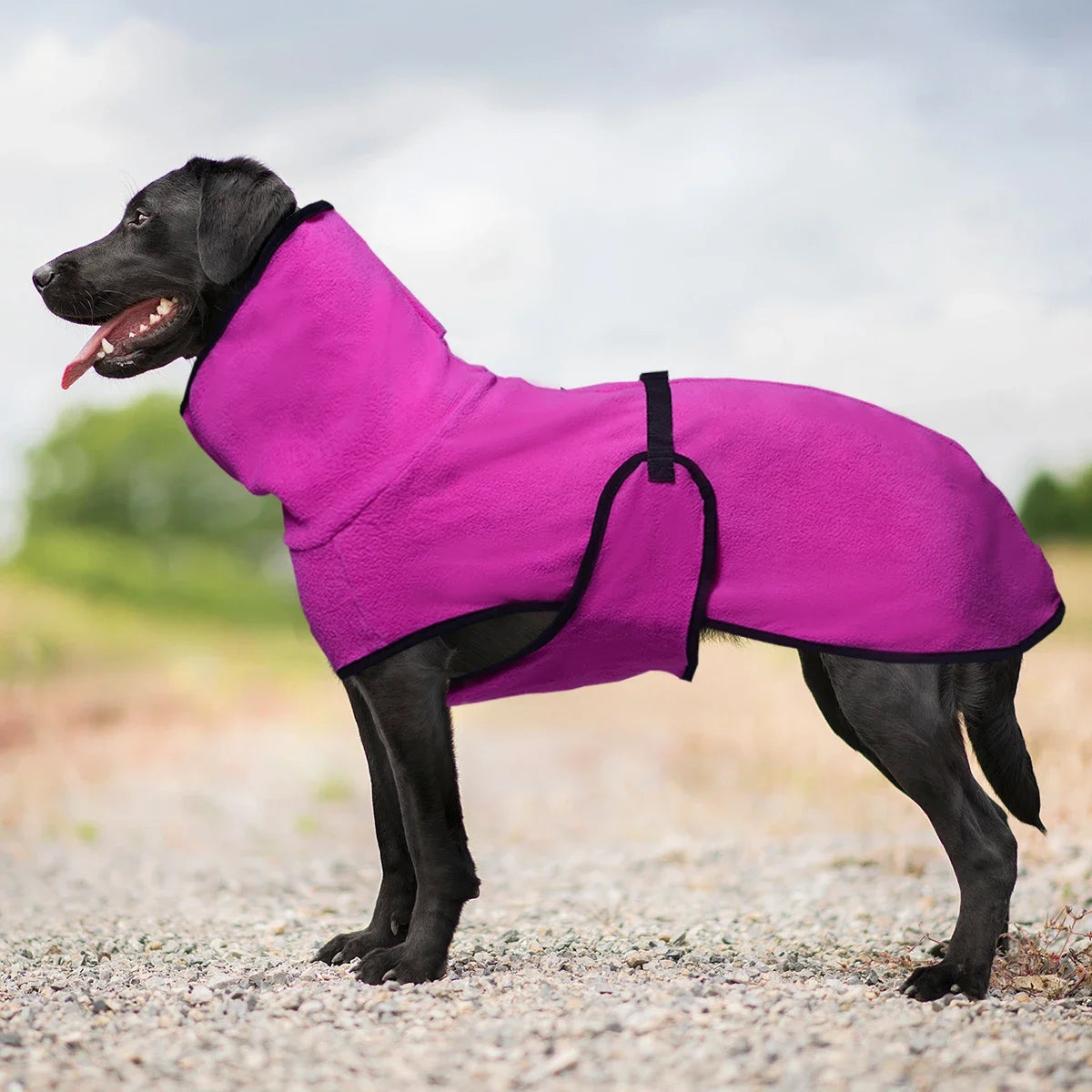 Warmer Wintermantel für Hunde – Gemütliche Haustierweste für Kleine, Mittelgroße & Große Hunde