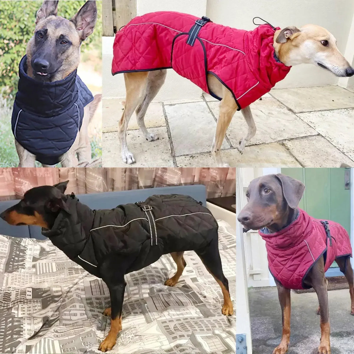 Wasserdichte Reflektierende Hundejacke – Warme Winterweste für Mittelgroße & Große Hunde