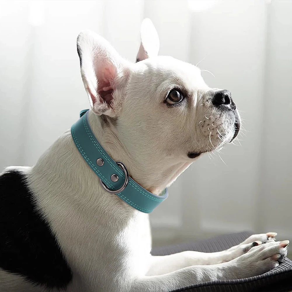 Hundehalsband aus Echtem Leder – Weiches Robustes Halsband für Kleine, Mittelgroße & Große Hunde und Deutsche Schäferhunde