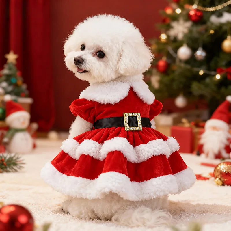 Weihnachtsrock für Haustiere – Festliches Outfit für Hunde & Katzen