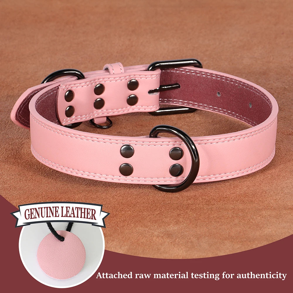 Hundehalsband aus Echtem Leder – Weiches Robustes Halsband für Kleine, Mittelgroße & Große Hunde und Deutsche Schäferhunde
