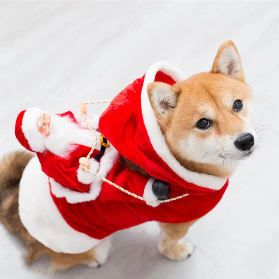 Lustiger Weihnachtsmann-Hundeumhang – Warmes Weihnachts-Cosplay-Kostüm für Kleine & Mittelgroße Hunde & Katzen