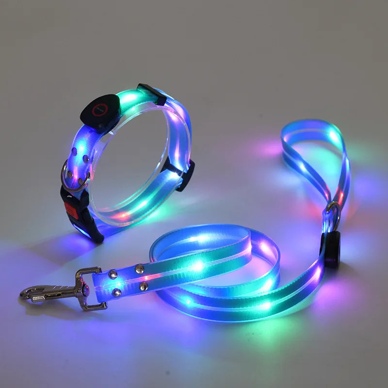 Leuchtendes Hundehalsband mit Leine – Wiederaufladbares Blinkendes Halsband mit Verstellbarer Passform für Spaziergänge