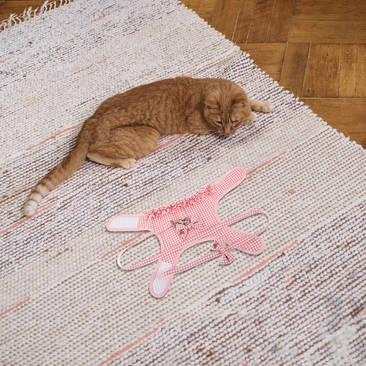 Weiches Haustiergeschirr aus Netzgewebe mit Leine – Verstellbares Westengeschirr für Kleine und Mittelgroße Hunde sowie Katzen