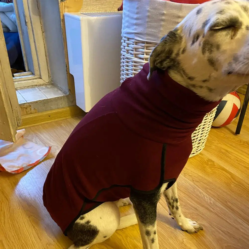 Hochkragen-Hundepullover für den Winter – Warmer Strickpullover für Mittelgroße & Große Hunde, Deutsche Dogge, Greyhound & Pitbull