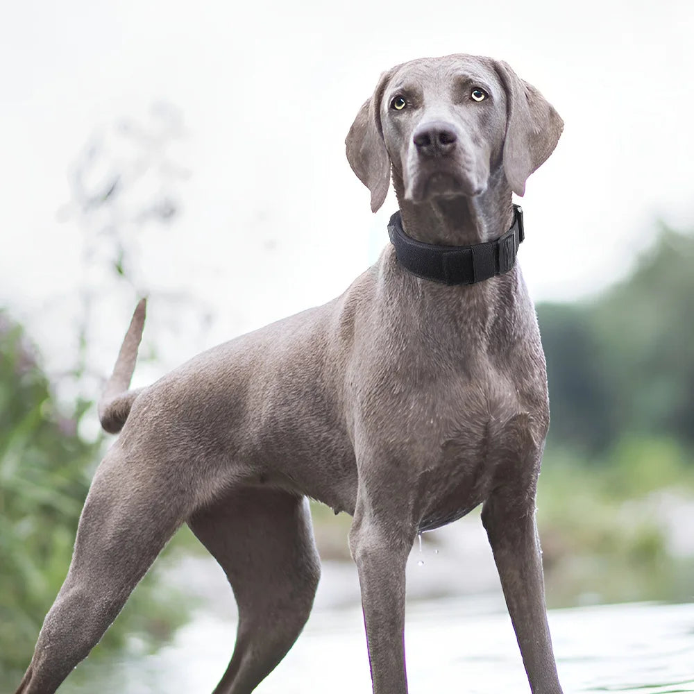 Verstellbares Taktisches Hundegeschirr – Verstärktes Trainings- & Outdoor-Geschirr für Große Hunde