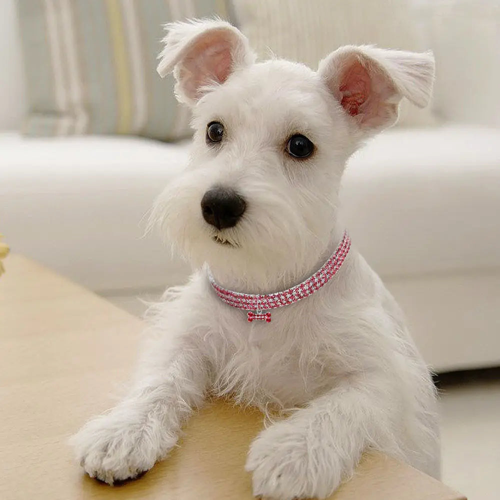 Dreireihiges Strass-Haustierhalsband – Elastisches Schmuckhalsband mit Knochenanhänger für Katzen, Hunde, Welpen & Kätzchen