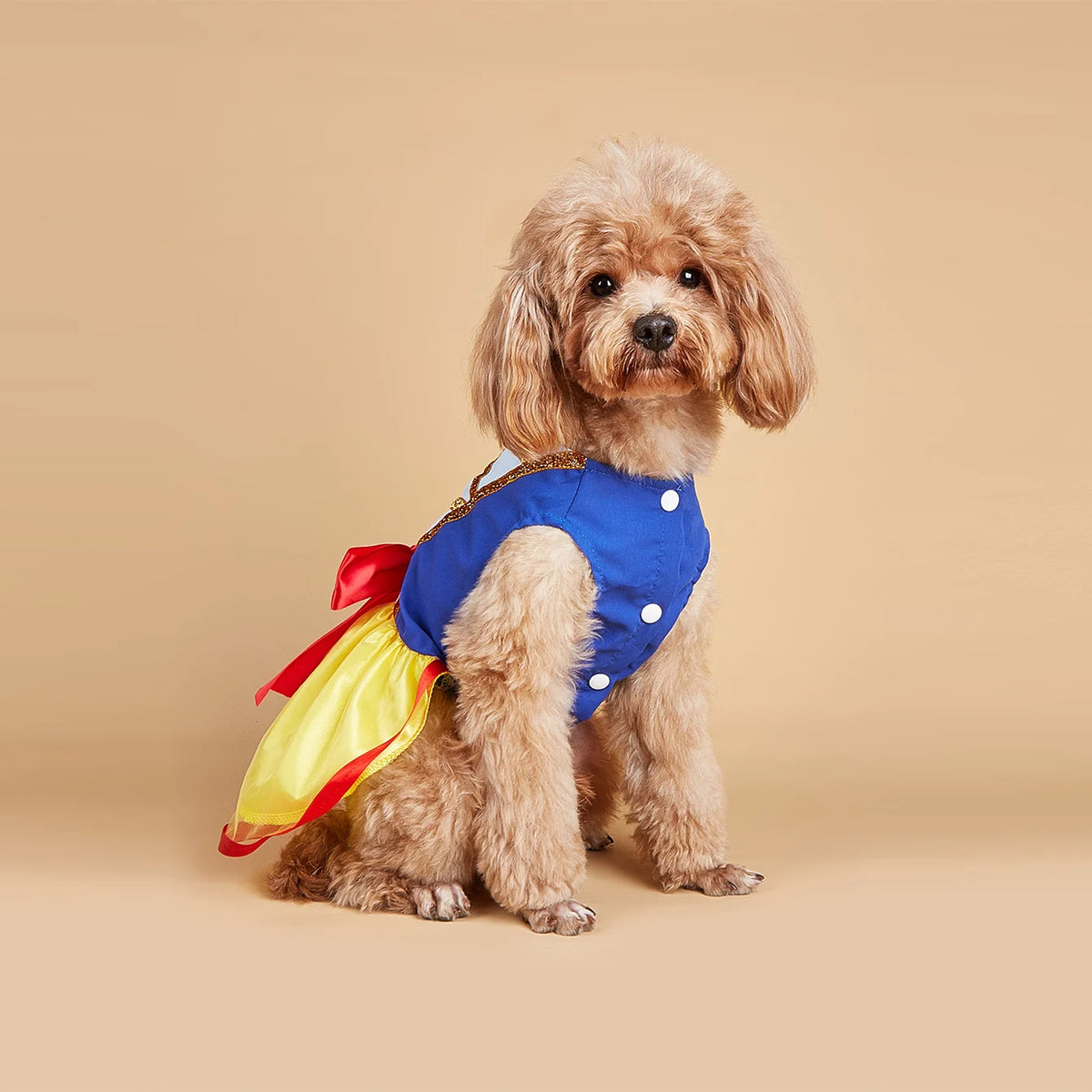 Schneeprinzessin-Kleid für Hunde – Festliches Weihnachtskostüm für Kleine Hunde & Welpen