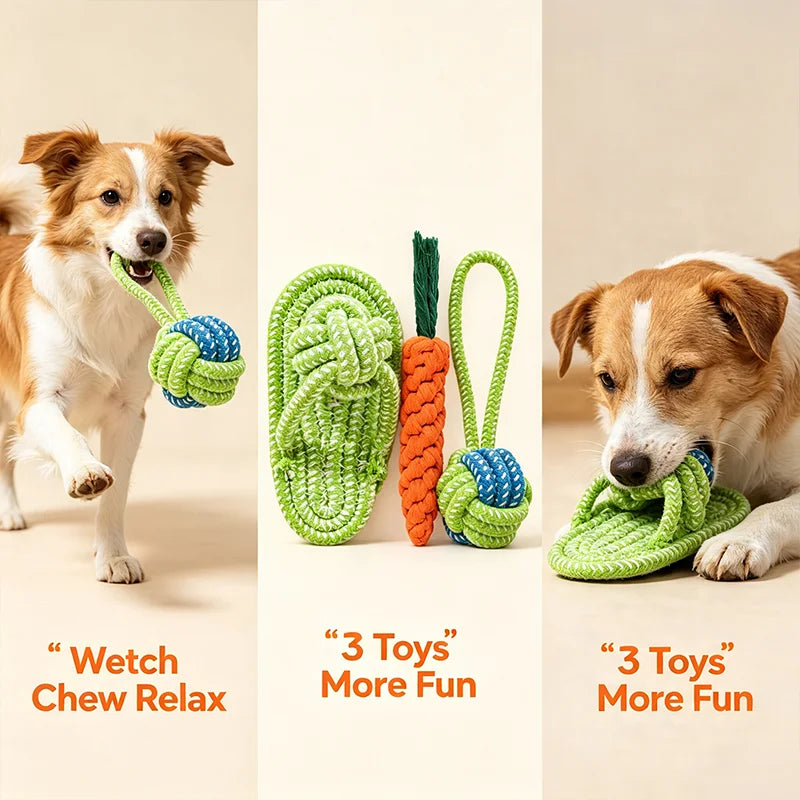 Geknotetes Hausschuh-Kauspielzeug-Set für Hunde – Zahnungsresistente Spielzeuge für Kleine Mittlere Große Hunde, Welpen, Teddy, Golden Retriever & Bichon Frisé