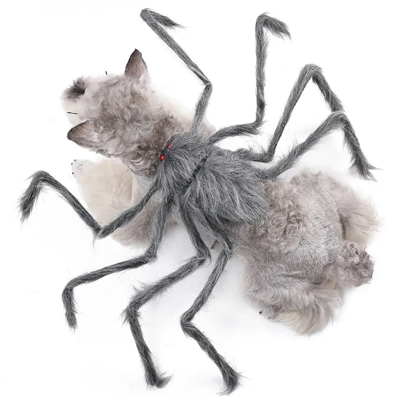 Lustiges Spinnenkostüm für Haustiere – Halloween-Cosplay-Outfit für Kleine & Mittelgroße Hunde & Katzen