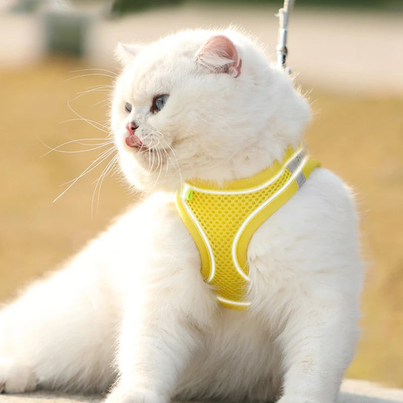 Atmungsaktives Reflektierendes Haustiergeschirr mit Leine – Weiches Westengeschirr aus Netzgewebe für Welpen, Katzen und Kleine Hunde