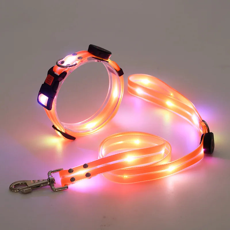 Leuchtendes Hundehalsband mit Leine – Wiederaufladbares Blinkendes Halsband mit Verstellbarer Passform für Spaziergänge