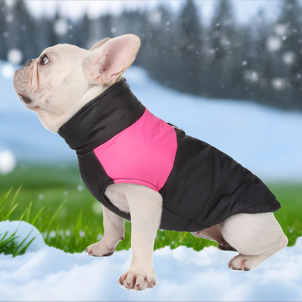 Warme Wasserdichte Winterjacke für Hunde – Winddichter Hundemantel mit D-Ring