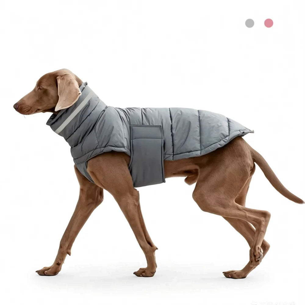 Warme Winter-Daunenweste für Hunde – Winddichte Jacke für Chihuahua & Französische Bulldogge