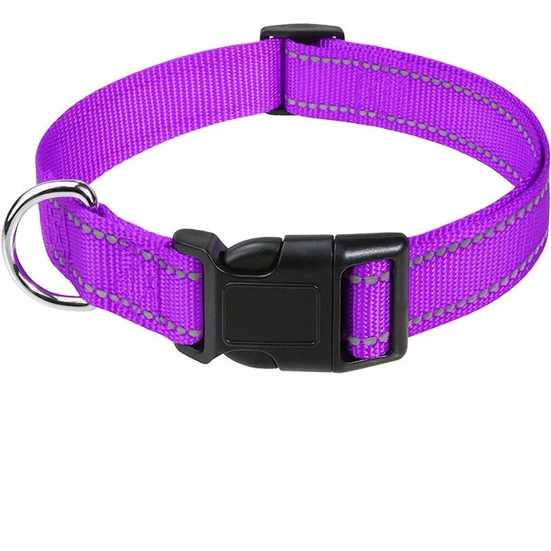 Dekoratives Choker-Hundehalsband – Stilvolles Halsband für Welpen sowie Kleine & Große Hunde