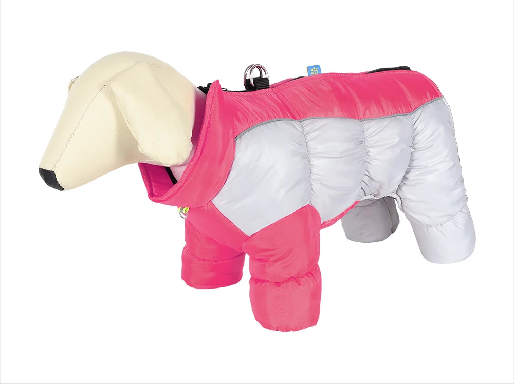 Wasserdichter Dicker Baumwoll-Hundemantel – Extra Warme Winterjacke für Französische Bulldoggen & Kleine Hunde