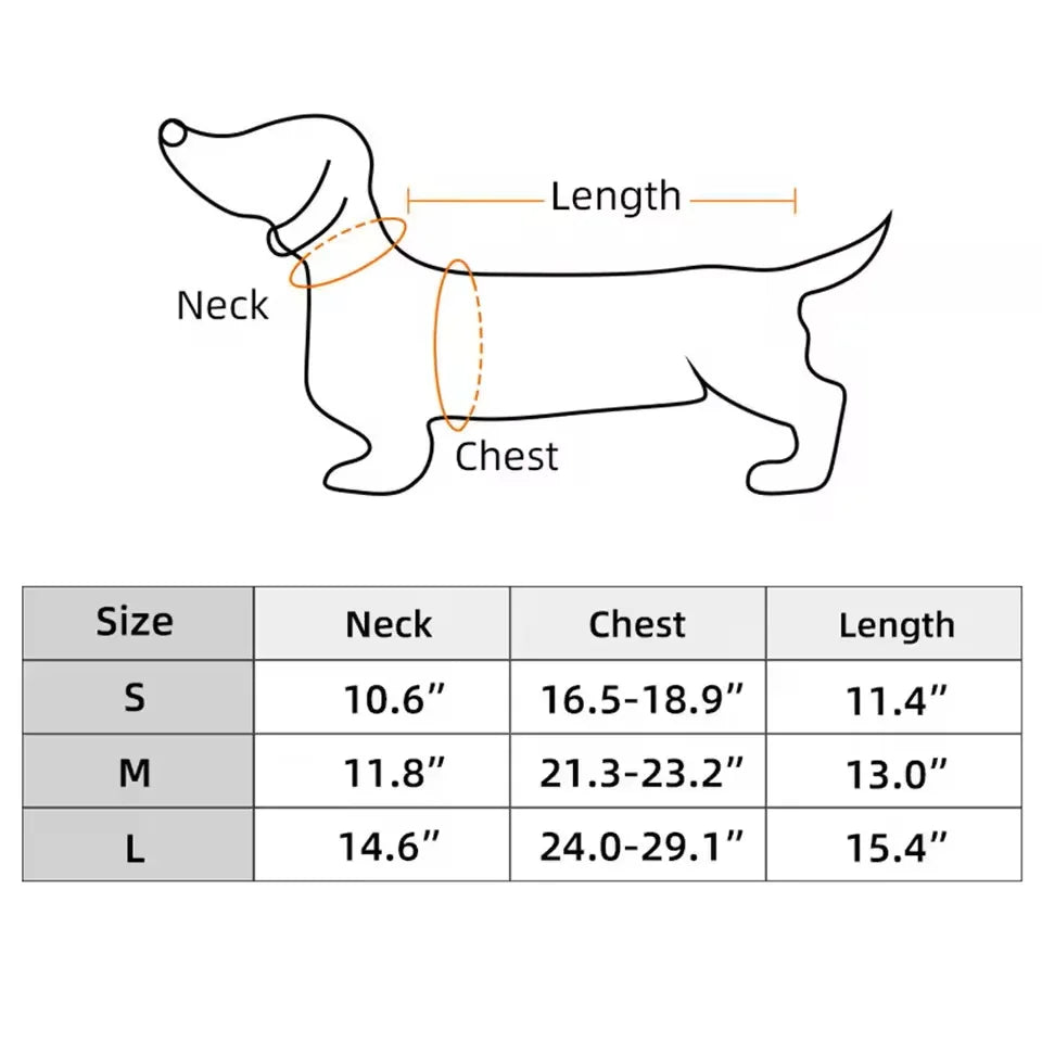 Hunde-Rückenstützweste – Lendenwirbelsäulen-Schutzbandage mit Stützplatte für Rücken & Bandscheibe