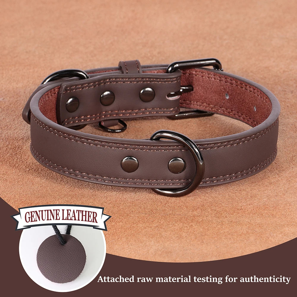Hundehalsband aus Echtem Leder – Weiches Robustes Halsband für Kleine, Mittelgroße & Große Hunde und Deutsche Schäferhunde