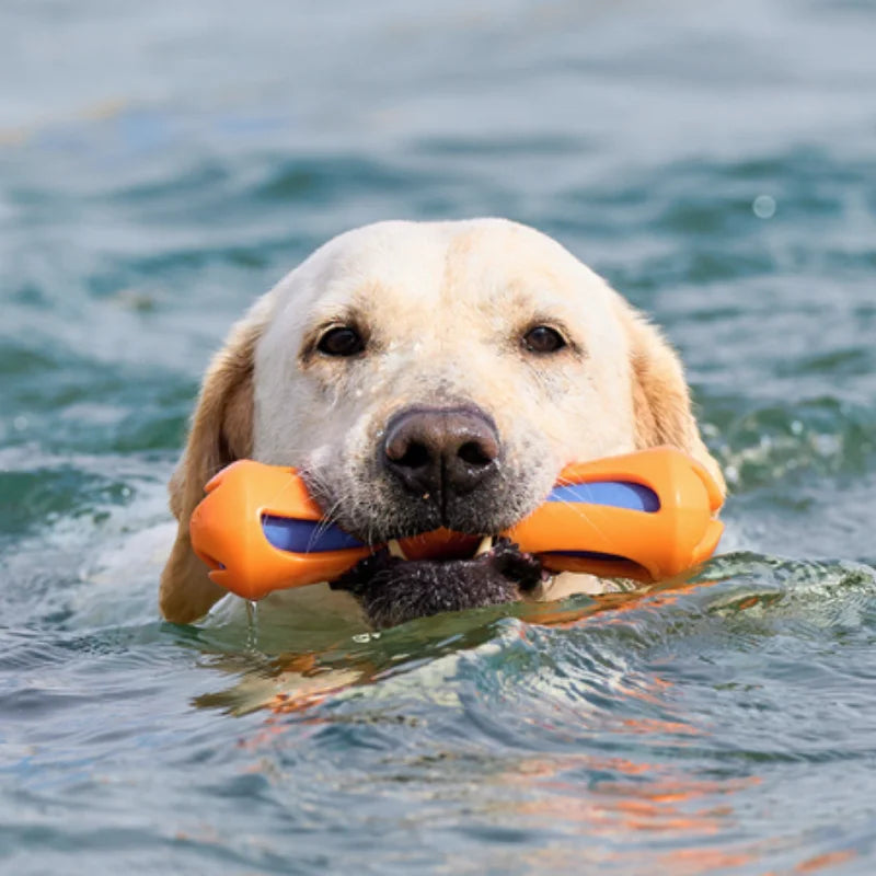 Schwimmendes Wasser-Stick Hundespielzeug – Bissfestes Apportier- & Trainingsspielzeug