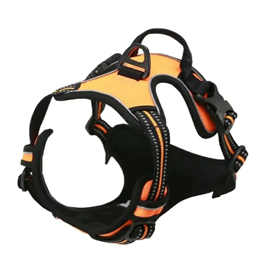 Hunde-Halsband, Geschirr und Leinen-Set in Lederoptik – Verstellbares Spaziergang-Set für Kleine und Mittelgroße Hunde und Welpen