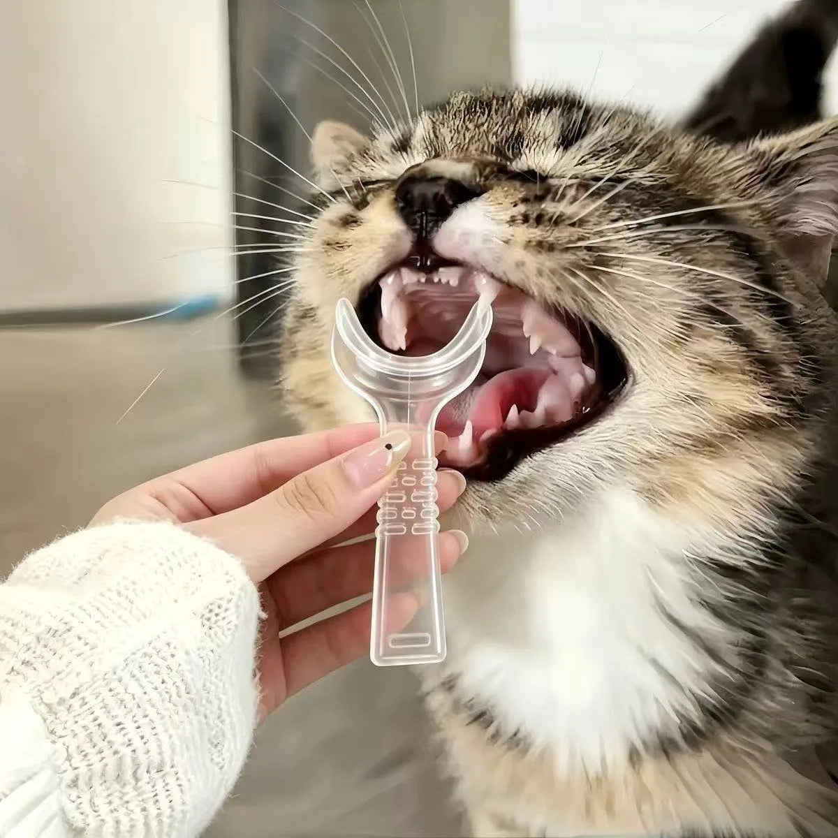 Maulpflege-Set für Haustiere – Handgeführte Maulöffnungshilfe & Fingerzahnbürste zur Zahnpflege für Hunde und Katzen