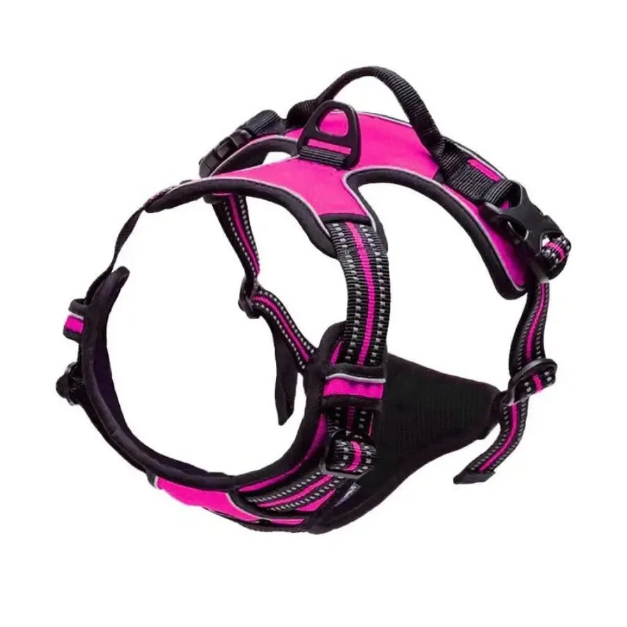 Hunde-Halsband, Geschirr und Leinen-Set in Lederoptik – Verstellbares Spaziergang-Set für Kleine und Mittelgroße Hunde und Welpen
