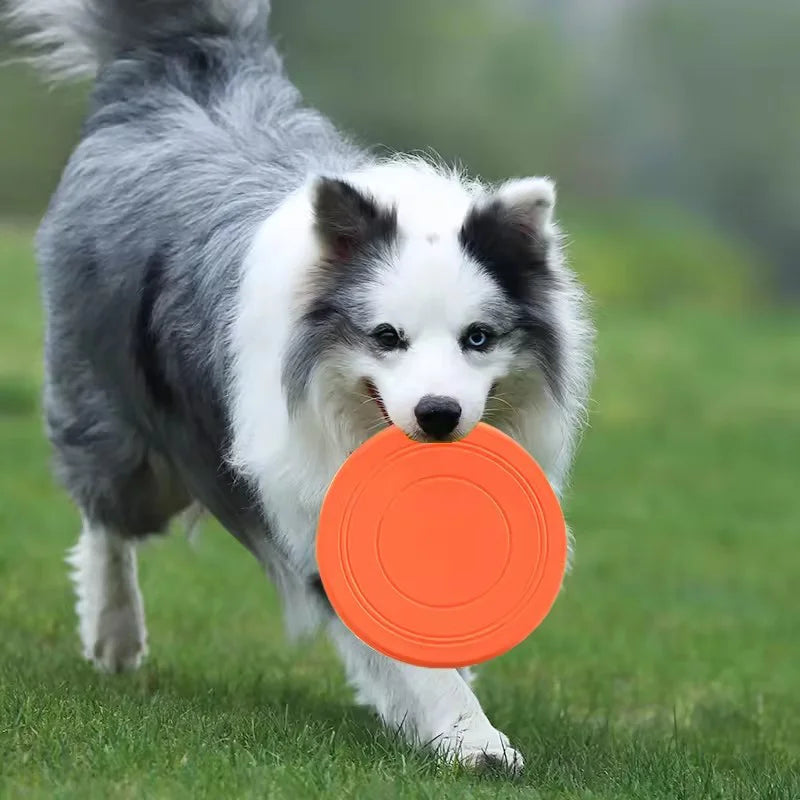 Weiche Gummi-Hundefrisbee – Robuste Wurfscheibe für Apportieren & Training