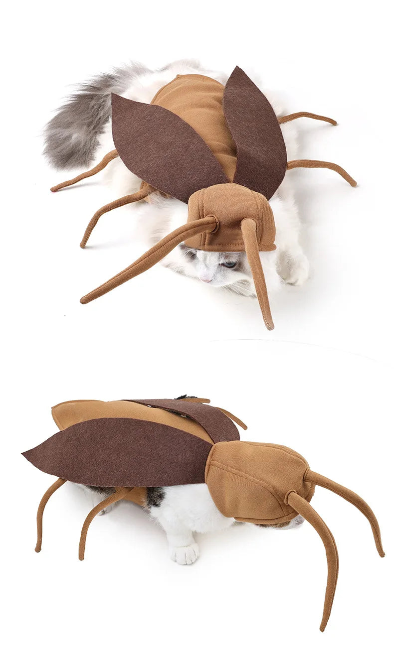 Lustiges Spinnenkostüm für Haustiere – Halloween-Cosplay-Outfit für Kleine & Mittelgroße Hunde & Katzen