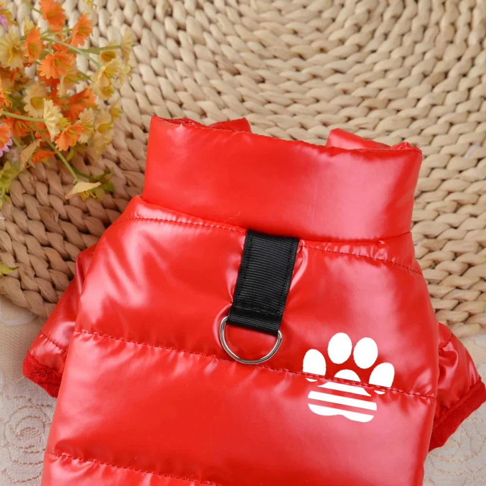 Wasserdichte Winterjacke für Hunde – Warmer Welpenmantel für Kleine Hunde & Chihuahuas