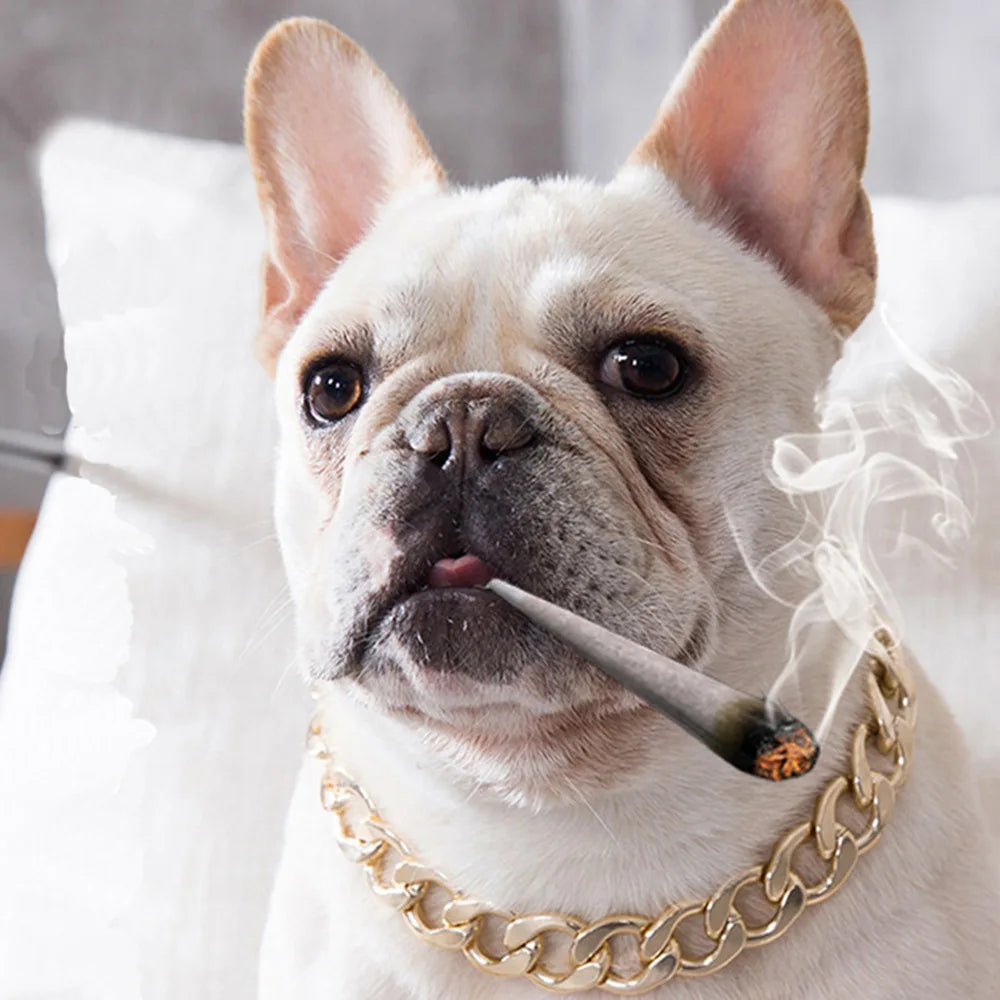 Luxuriöses Goldenes Metall-Hundehalsband – Auffälliges Kettenhalsband für Pitbulls, Bulldoggen, Teddybär-Hunde & Französische Bulldoggen