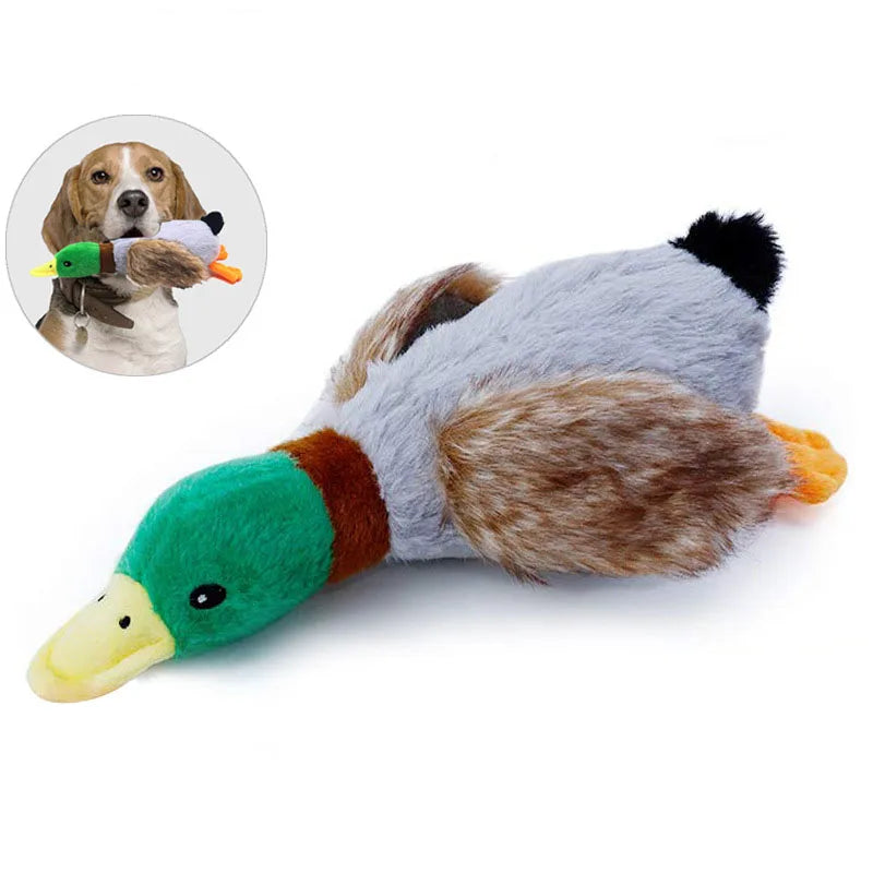 Niedliches Enten-Plüschspielzeug mit Quietschfunktion – Gefülltes Hunde-Kauseil & Zahnpflege-Spielzeug für Welpen, Hunde und Katzen