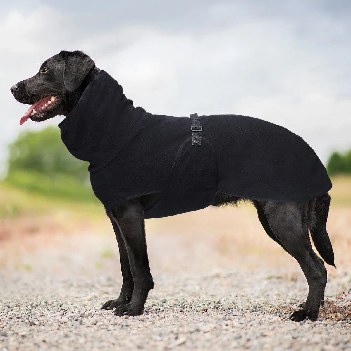 Warmer Wintermantel für Hunde – Gemütliche Haustierweste für Kleine, Mittelgroße & Große Hunde