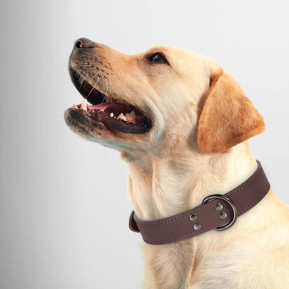 Hundehalsband aus Echtem Leder – Weiches Robustes Halsband für Kleine, Mittelgroße & Große Hunde und Deutsche Schäferhunde