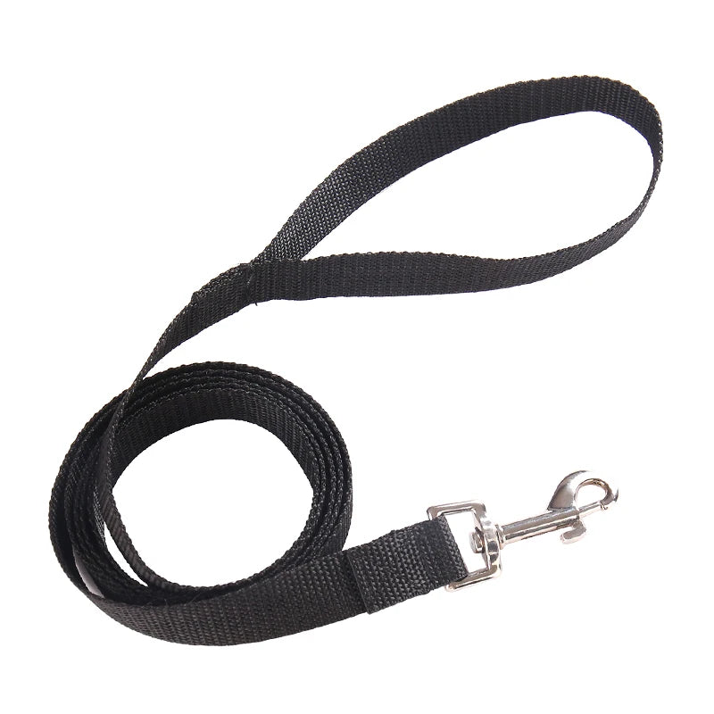 Hundetrainingsleine – Robuste Outdoor Spazier- & Wanderleine