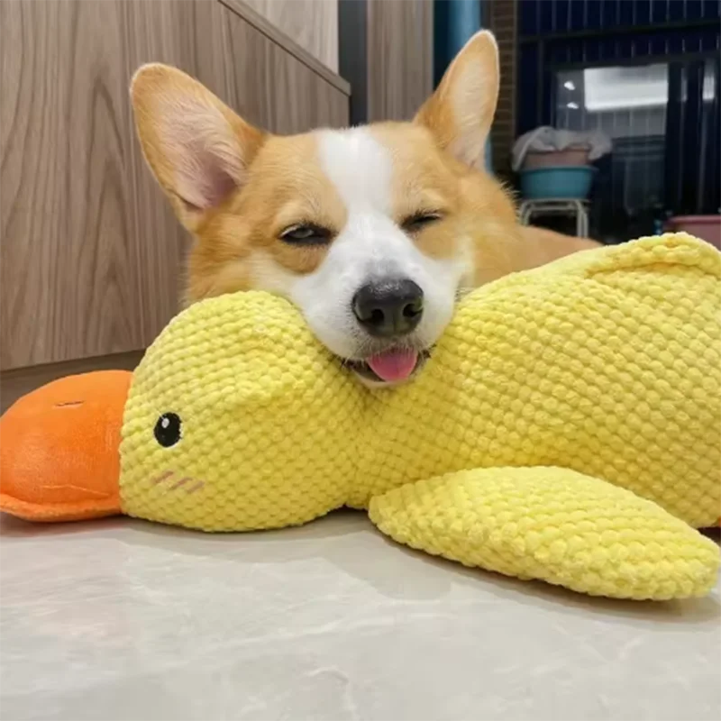 Gelbes Enten-Plüschspielzeug zum Kuscheln für Hunde – Weicher Interaktiver Schlafbegleiter & Kuschelpuppe für Welpen und Hunde
