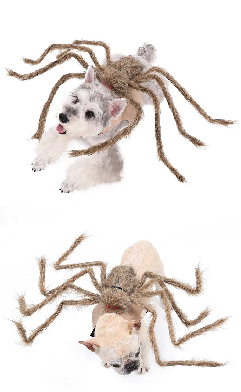 Lustiges Spinnenkostüm für Haustiere – Halloween-Cosplay-Outfit für Kleine & Mittelgroße Hunde & Katzen