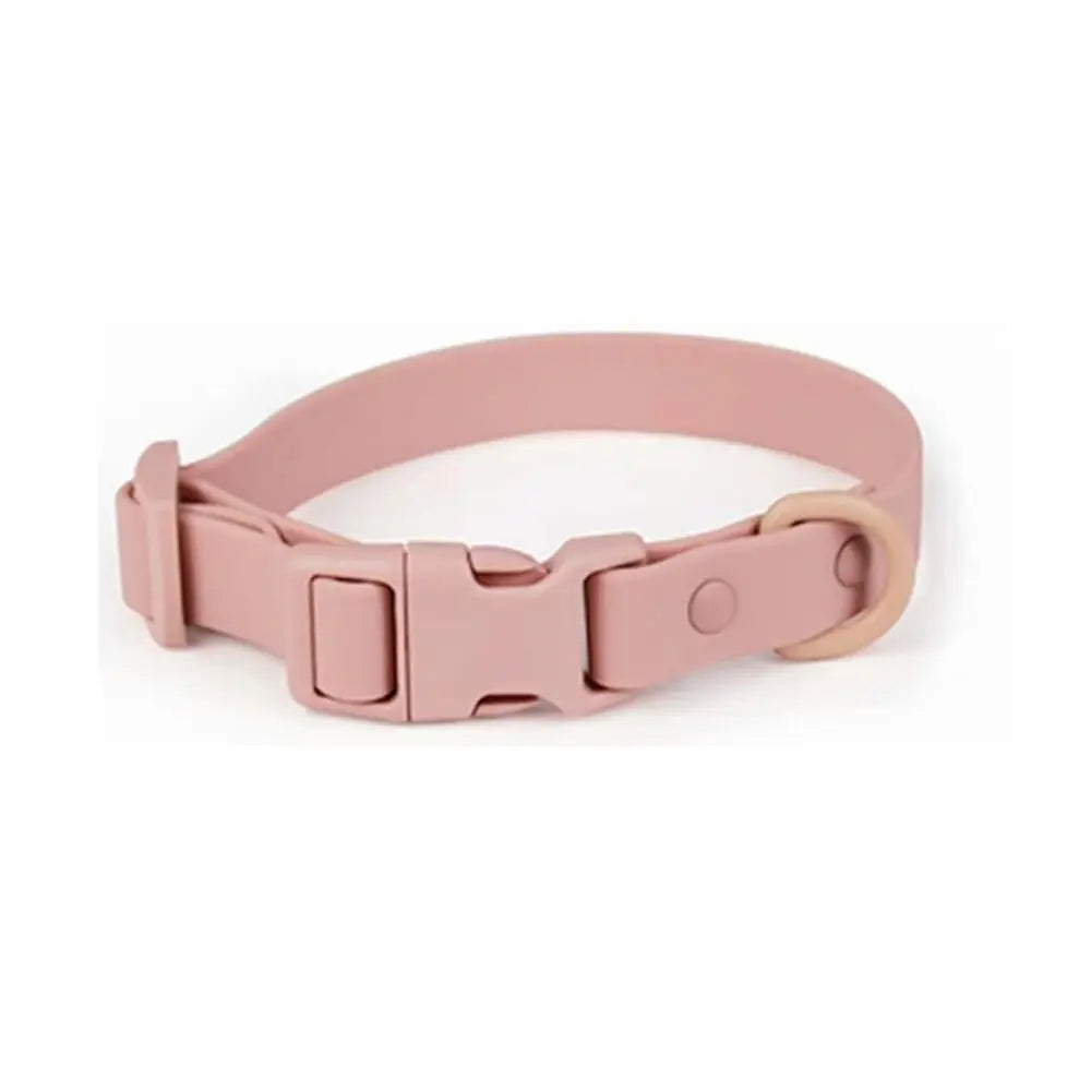 Elastisches Hundehalsband aus Gurtband – Verstellbares Wasserfestes Rostbeständiges Waschbares Halsband mit Sicherheitsverschluss