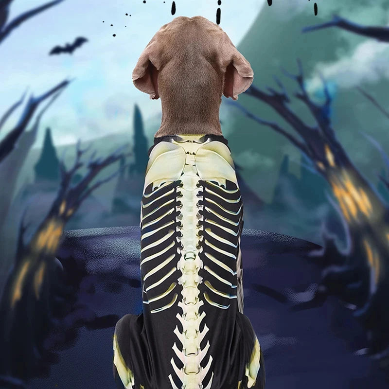 Skelett-Halloween-Kostüm für Hunde – Cooles Verwandlungs-Outfit für Große Hunde