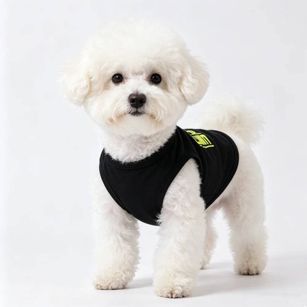 SECURITY Hunde- & Katzen-Sommerweste – Strukturiertes T-Shirt für Chihuahua, Yorkie & Kleine Haustiere