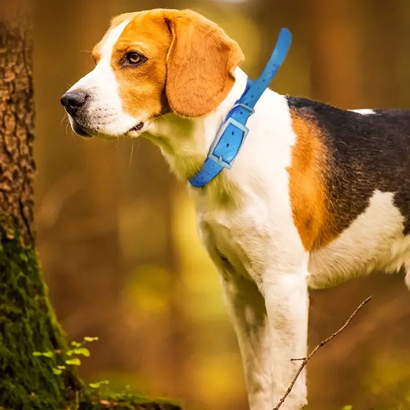 Wasserfestes Jagdhund-Halsband aus TPU – Verstellbares Robustes Pflegeleichtes Trainingshalsband für Große Hunde