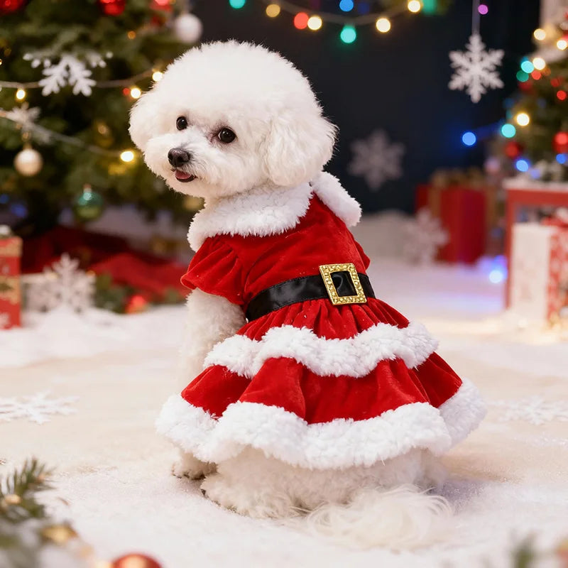 Weihnachtsrock für Haustiere – Festliches Outfit für Hunde & Katzen