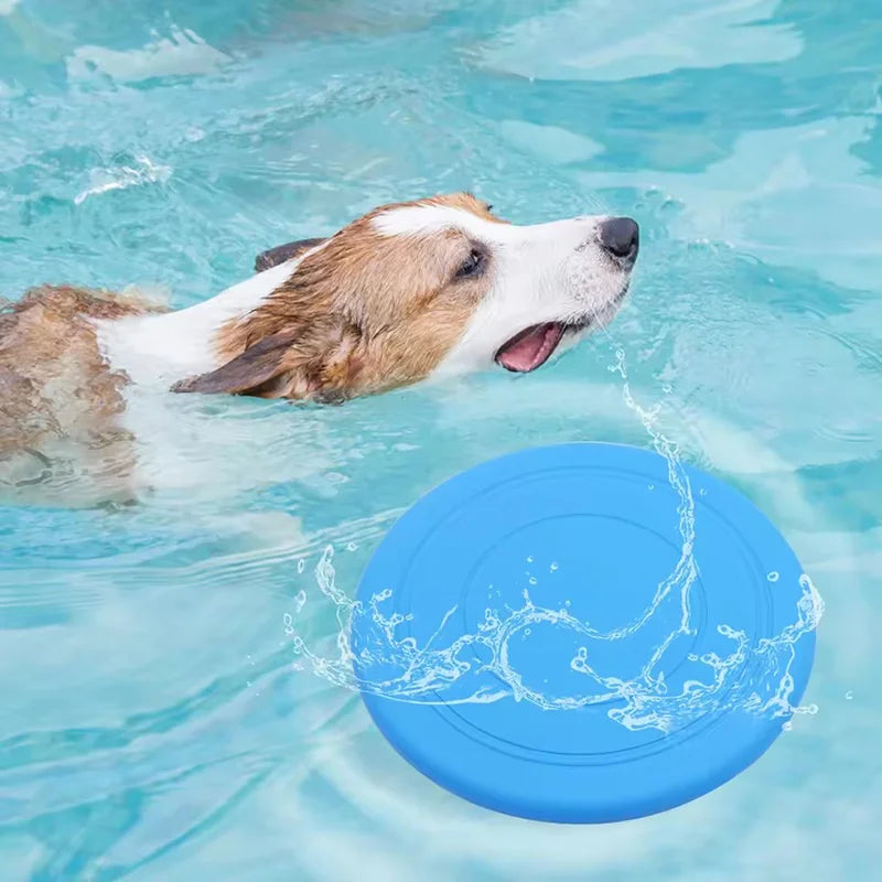 Weiche Gummi-Hundefrisbee – Robuste Wurfscheibe für Apportieren & Training