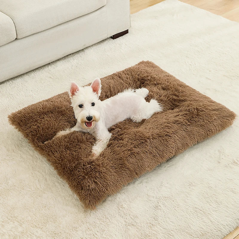 Weiches Langplüsch Hundebett & Haustier Schlafsofa – Gemütliches Korb-Kissen und Katzenbett für Kleine Mittlere Große Hunde, Welpen & Katzen