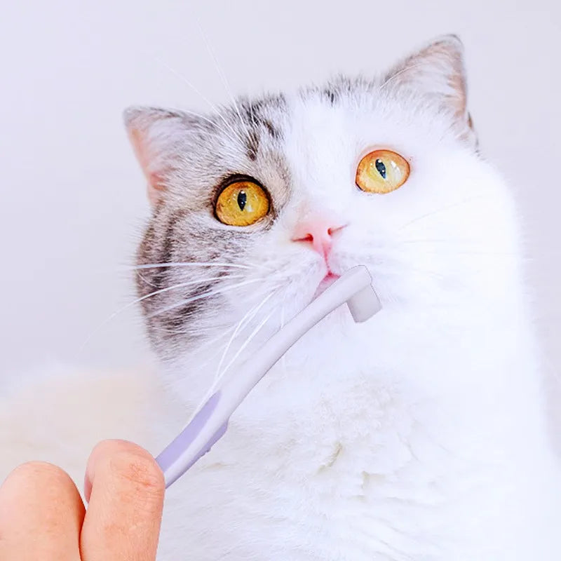 Mini-Zahnbürste für Haustiere – Weiche Zahnbürste zur Zahnreinigung für Hunde, Kaninchen & Kleine Haustiere