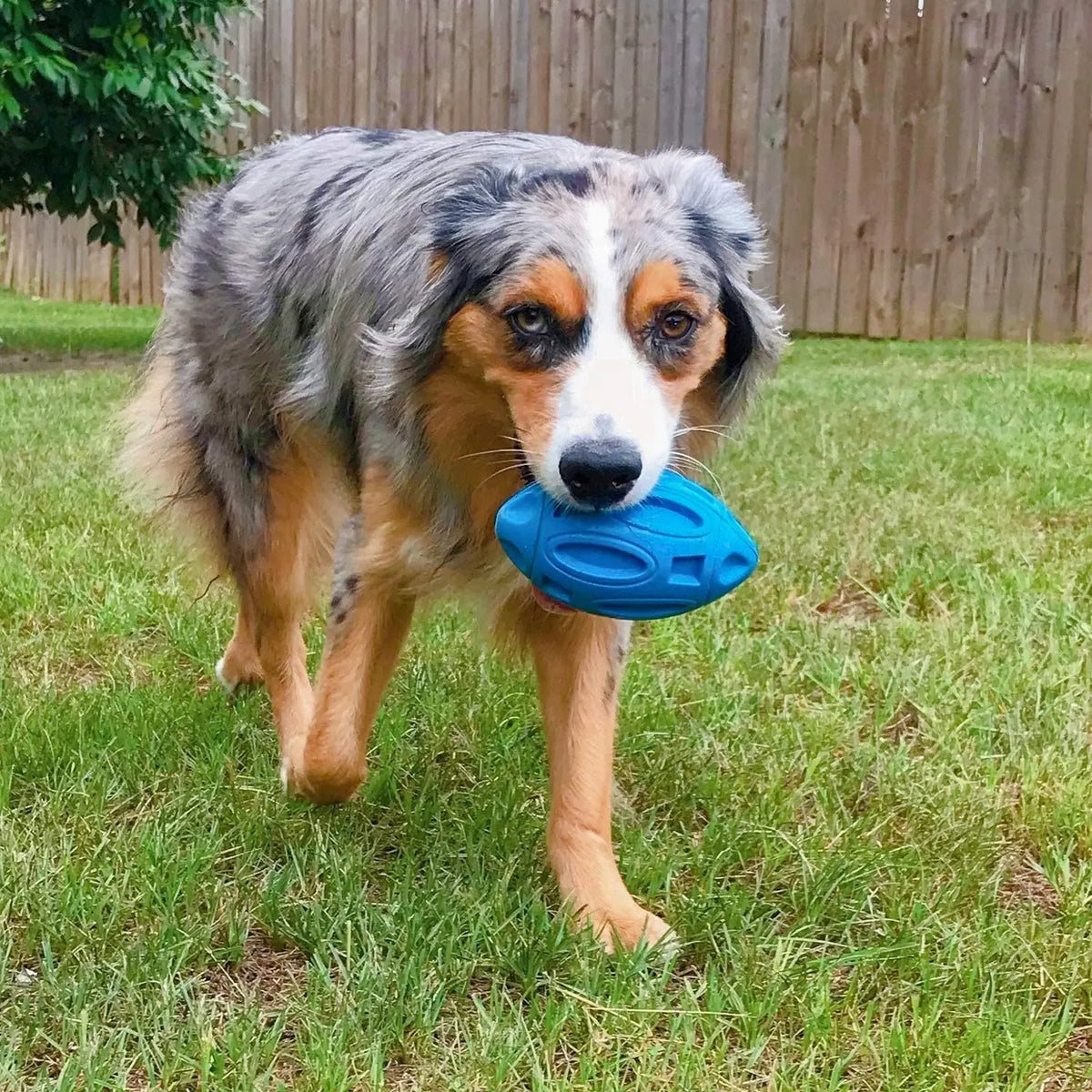 Robuster Quietschender Gummi-Kauball für Hunde – Zahnreinigungs- & Kauspielzeug für Starke Kauer, Mittelgroße Große Hunde & Welpen