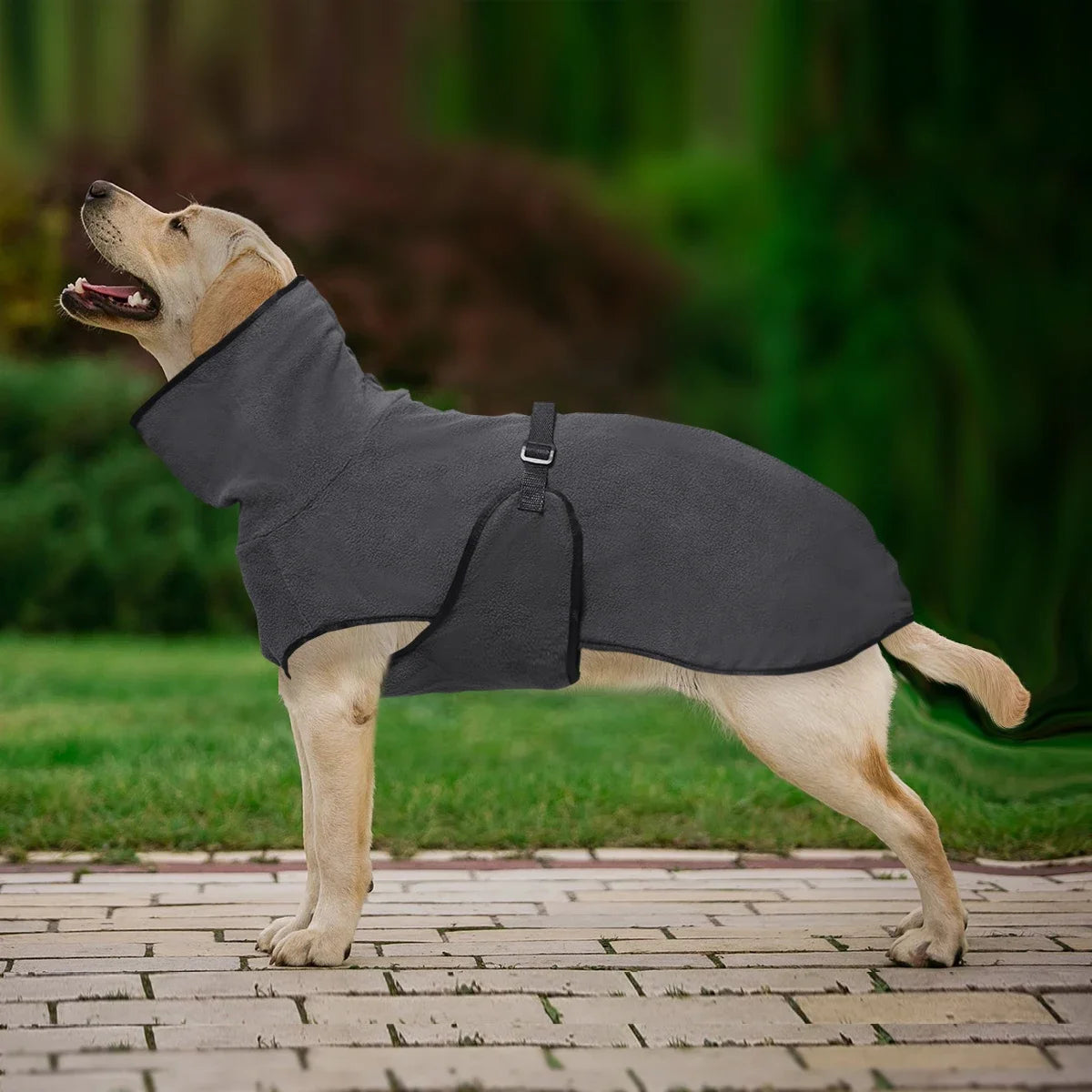 Warmer Wintermantel für Hunde – Gemütliche Haustierweste für Kleine, Mittelgroße & Große Hunde