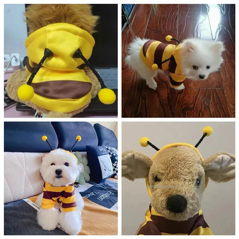 Bienen-Fleece-Hoodie für Hunde & Katzen – Süßer Cosplay-Pullover für Haustiere